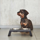 Thumbnail for your product : MiaCara Desco Dog Feeder