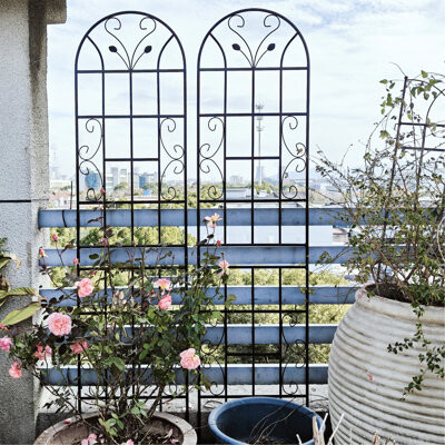 Charlton Home Bader 4 Metal Garden Trellis, Black Rustproof, Outdoor Plant Support Frame Trellis , Supports Plants