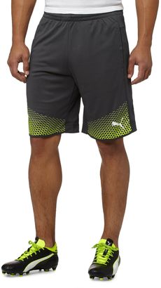 Puma EvoTRG Touch Shorts