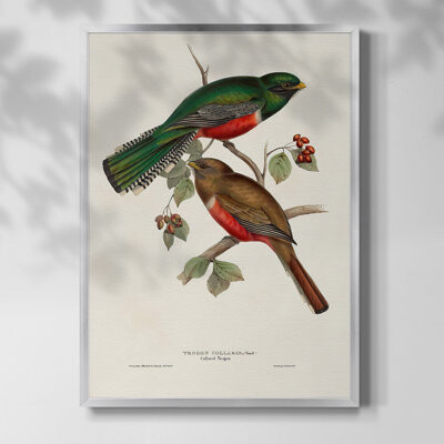 Winston Porter Spinning Wheels II Framed Print