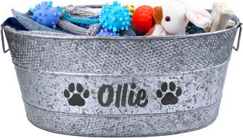 Trinx XL Personalized Metal Dog Toy Storage Bin