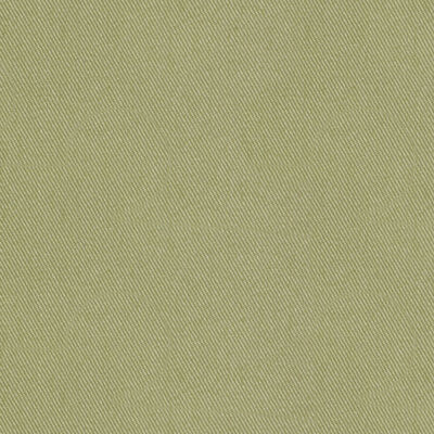 Robert Allen Shade Store Success 100% Cotton Fabric