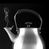 Thumbnail for your product : OXO Good Grips 1.7 Quart Stainless Steel Classic Tea Kettle Brushed