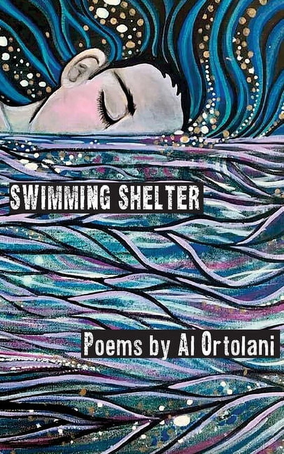 Swimming Shelter (Paperback)