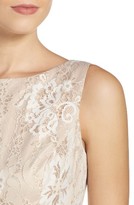 Thumbnail for your product : Eliza J Women's Belted Lace Fit & Flare Dress