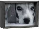 Thumbnail for your product : Stratton 5x7 Picture Frame