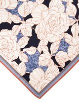 Thumbnail for your product : Loro Piana Floral Cashmere & Silk Scarf
