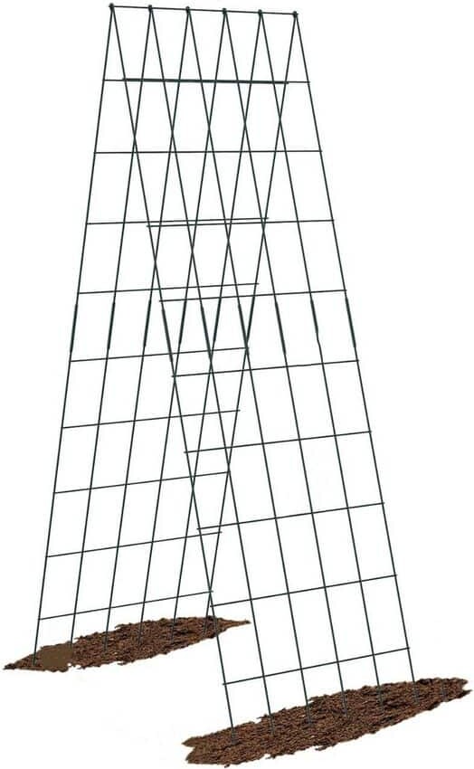 64 in. Foldable Cucumber Trellis A-Frame Cucumber Trellis for Raised Bed (2-Pack)