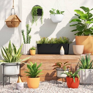 2pc Self-watering Wall Half-circle Indoor Outdoor Planter Pots 8x4.75 -  Room Essentials™ : Target