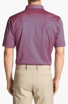 Thumbnail for your product : Peter Millar 'University of Florida' Sugar Stripe Polo