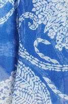 Thumbnail for your product : Lucky Brand 'Dakota Reeds' Print Scarf