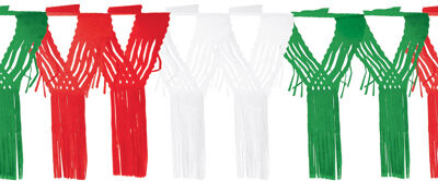 Beistle Drop Fringe Garland - 20\