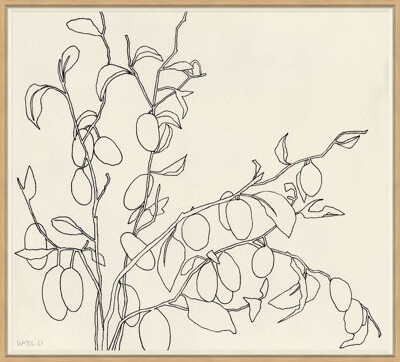 Soicher Marin 'Olives' by Susan Hable - Picture Frame Drawing Print on Paper