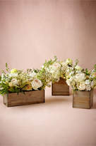 Thumbnail for your product : BHLDN Woodland Box Planters