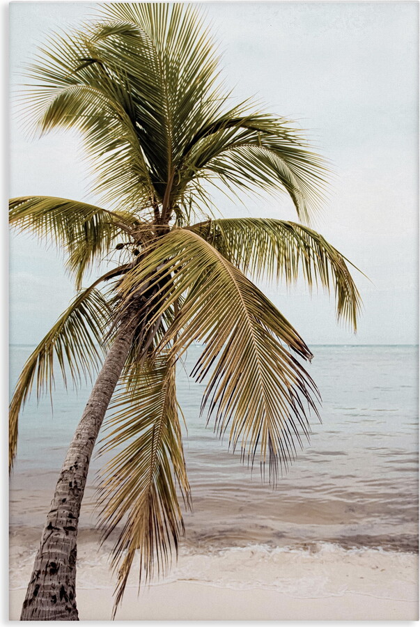Stupell Industries California Summer Palm Nautical & Beach Photography Wrapped Canvas Art Print Wall Art, 24 x 36