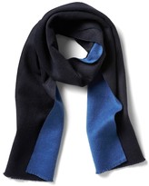 Thumbnail for your product : Banana Republic Reversible Cashmere Scarf