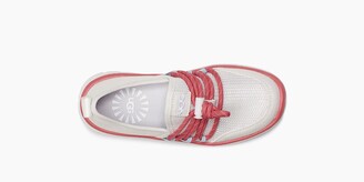 ugg cambrian sneaker