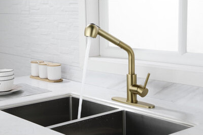 Beslend Pull Out Kitchen Faucet