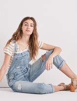 Thumbnail for your product : Lucky Brand Boyfriend Denim Overall In Amherst