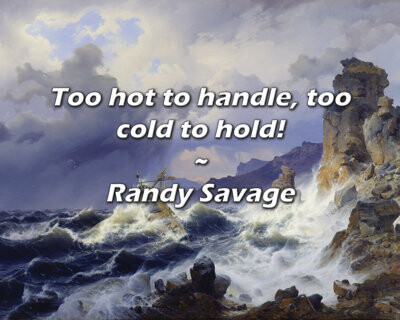 Trinx Randy Savage Quote: Too hot to handle, too cold to hold!