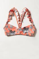 Thumbnail for your product : Anthropologie Boys + Arrows Orange Blossom Top