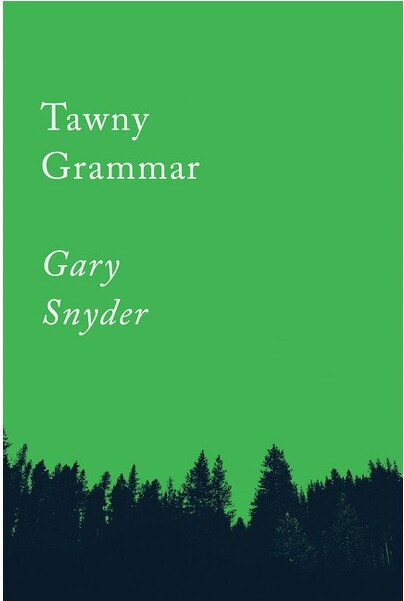 Counterpoint LLC Tawny Grammar - (Counterpoints) by Gary Snyder (Paperback)