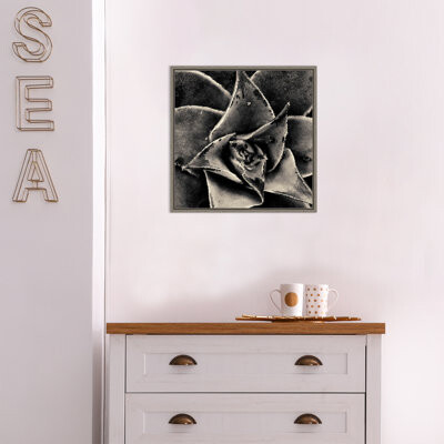East Urban Home 'Seattle Succulents' by Gary Horsfall - Floater Frame Photograph on Canvas