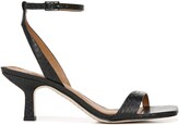 Thumbnail for your product : Franco Sarto Bona Ankle Strap Sandal