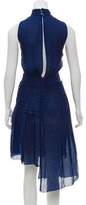 Thumbnail for your product : Issa Sleeveless Midi Dress