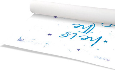Casa Fine Arts Rolled Prince Paper Print