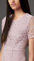 Thumbnail for your product : Burberry Broderie Anglaise Lace Dress