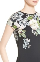 Thumbnail for your product : Ted Baker Women's Veeni Print Tee