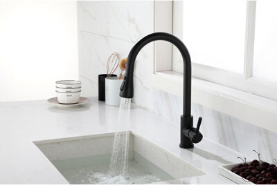 East Urban Home Matte Black Pull Out Spray Kitchen Faucet Stainless Steel Construction 360 Rotatable Nozzle For Smooth Water Flow Faucet With Spray Quality Rotati