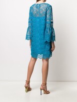 Thumbnail for your product : Alberta Ferretti Embroidered Lace Layered Dress