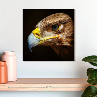Ebern Designs Crowle Eagle Face