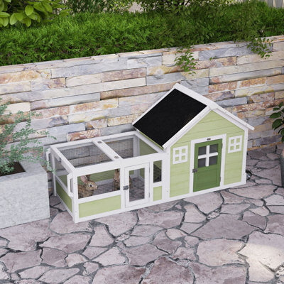 Excellent Future Rabbit Hutch