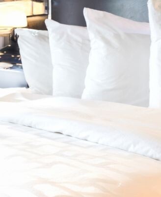 Cleanbrands Pro Zippered 2 Pack Pillow Protector