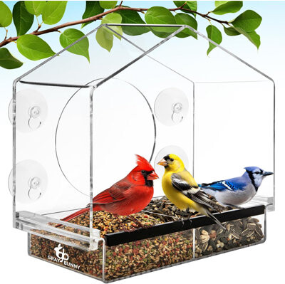 Pet Planet Window Bird Feeder With Strong Suction Cups (Clear) Bird Feeders For Outdoors With Drain Holes Removable Tray And Large Seed Capacity