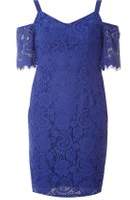 Dorothy Perkins Womens Petite Cobalt Lace Pencil Dress