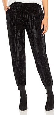 alice and olivia velvet pants