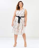 Thumbnail for your product : Studio 8 Justine Dress