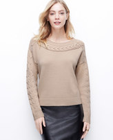 Thumbnail for your product : Ann Taylor Cable Trim Sweater