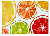 Thumbnail for your product : C. Wonder Citrus Fruit Paper Placemats