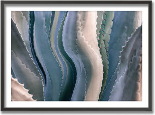 Ready2hangart Sonoma Summertime Roadside Abstract by Robin Wechsler - Picture Frame Print on Wood