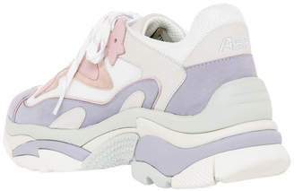 Ash Addict Bis Ss19-S-128446-007 White With Purple Sneaker