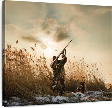 Elephant Stock Duck Hunter And Dog