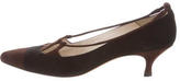 Thumbnail for your product : Manolo Blahnik Suede Pointed-Toe Pumps