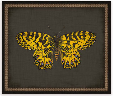 Melissa Van Hise Butterflies on Black IX Framed Graphic Art