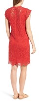 Thumbnail for your product : Velvet by Graham & Spencer Women's Cap Sleeve Lace Sheath Dress