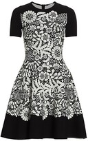 Thumbnail for your product : Oscar de la Renta Lace Knit A-Line Dress